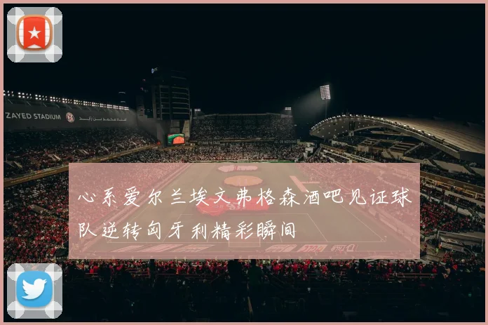 心系爱尔兰埃文弗格森酒吧见证球队逆转匈牙利精彩瞬间