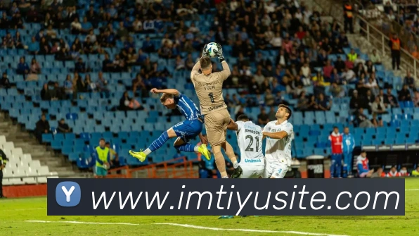 IM体育平台生态图